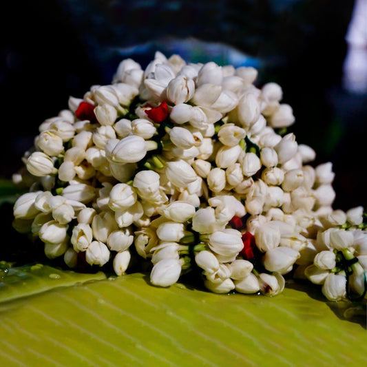 Fresh Jasmine Flowers (Chameli)