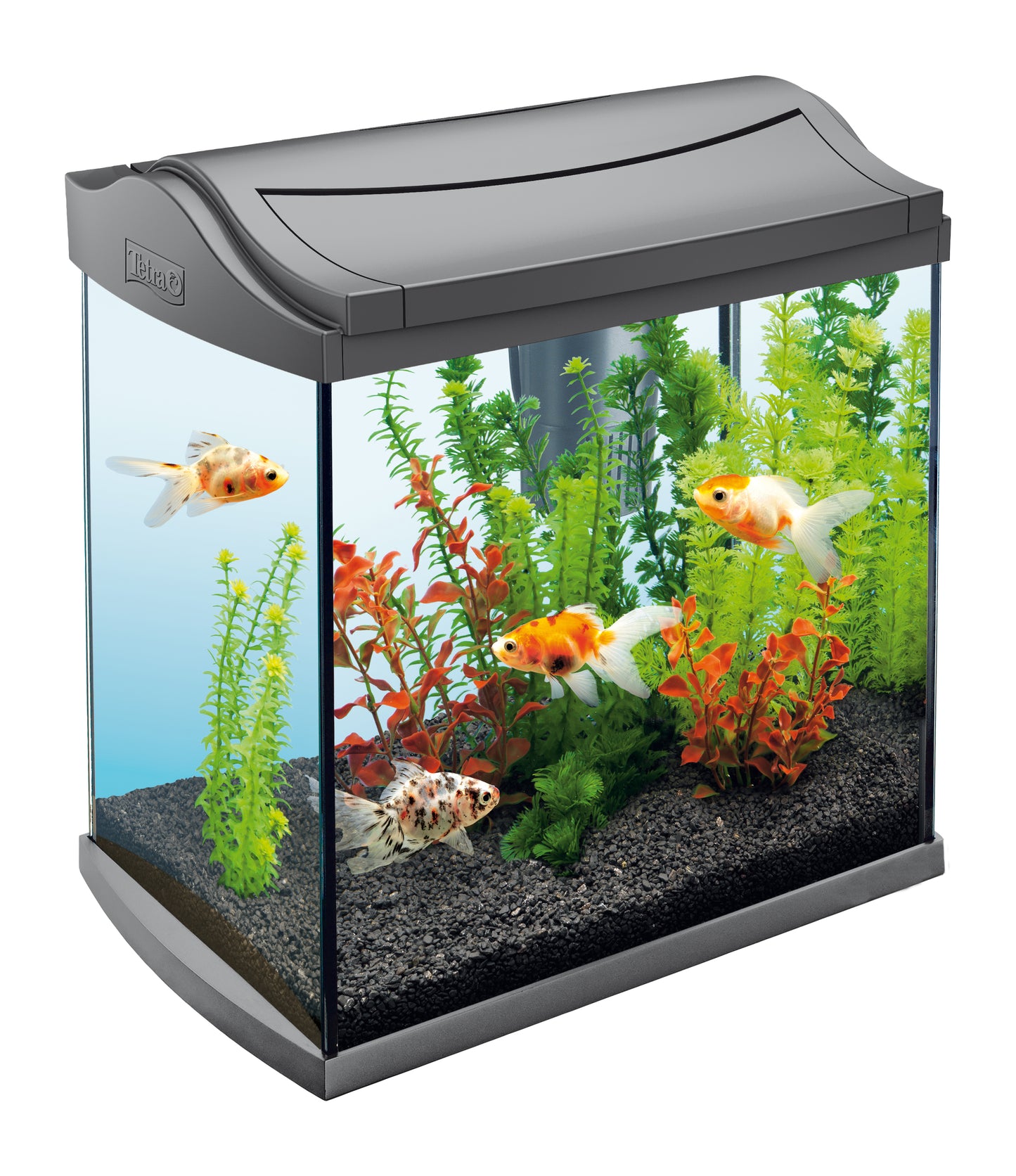 Fish Aquarium - Fish Tank Kit