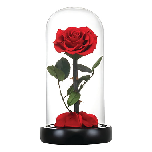 Red Infinity Rose (Forever Rose)