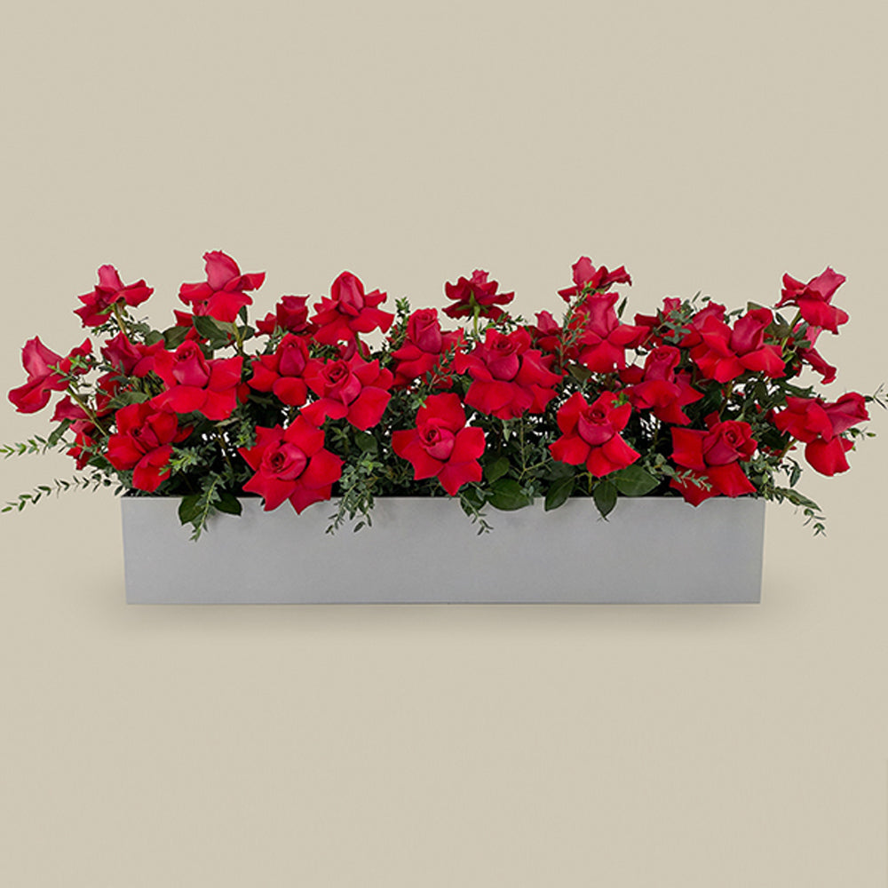 Fresh Flower Box - Red Rose Flower Box