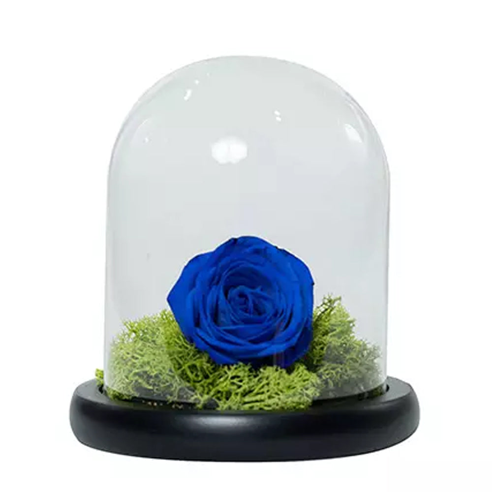 Eid Al Fitr - Elegant Blue Rose