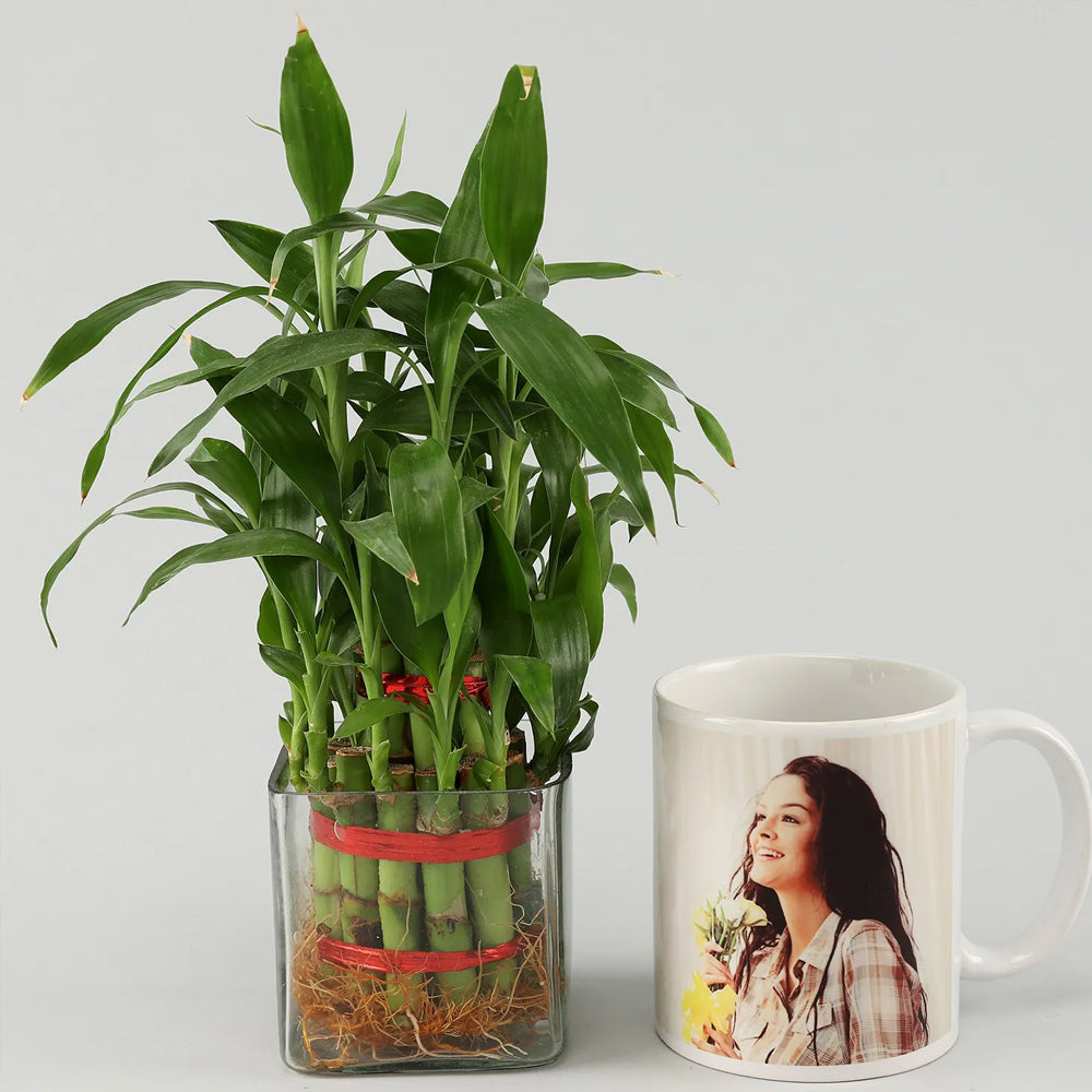 Teacher's Day - 2 Layer Bamboo Personalised White Mug